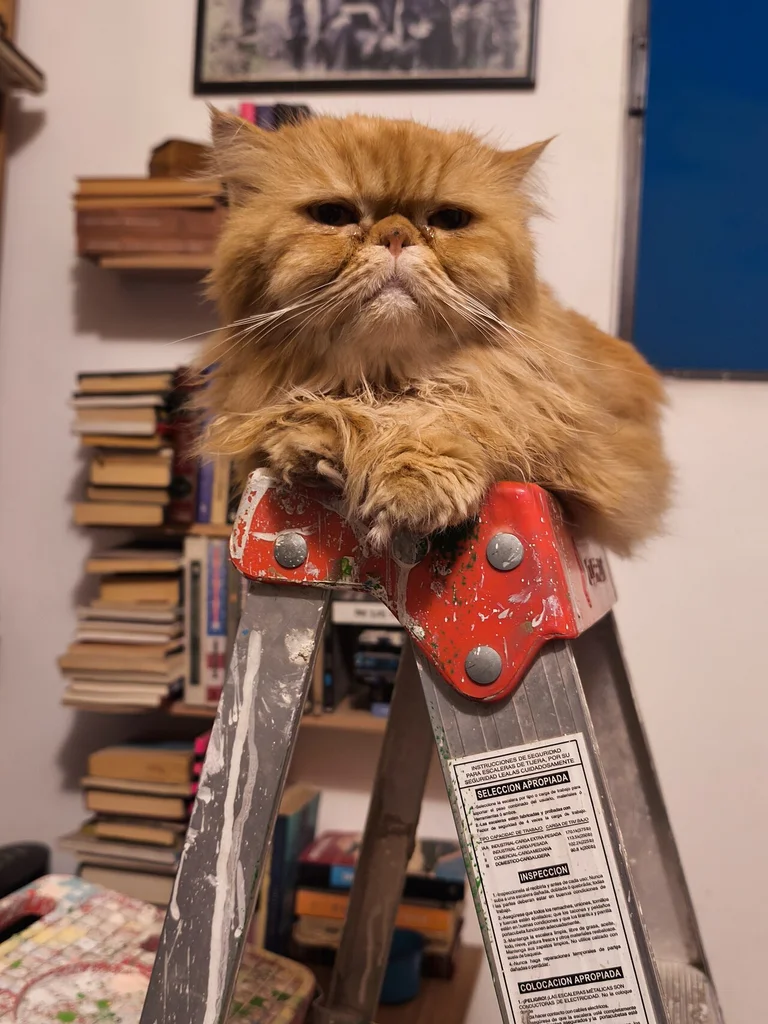 Persian